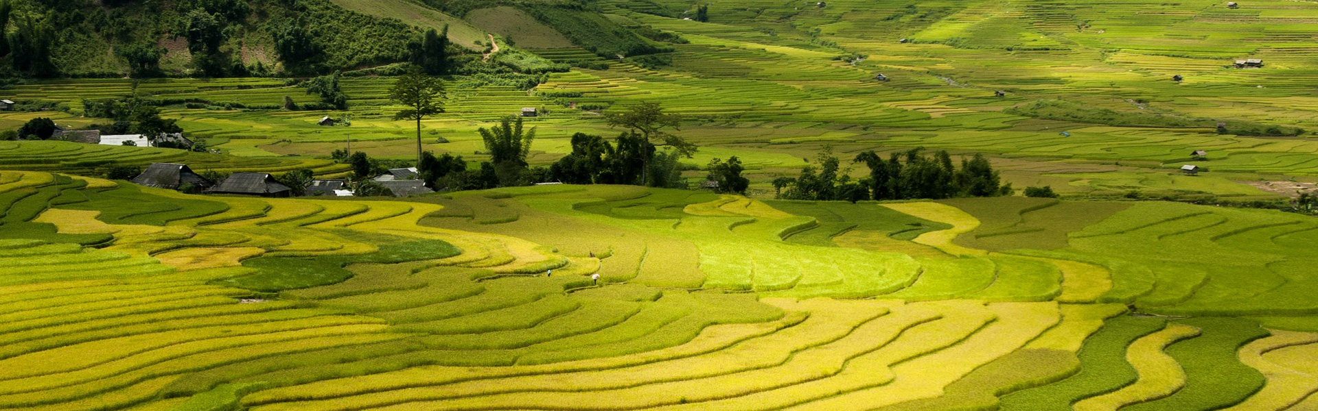 Laos