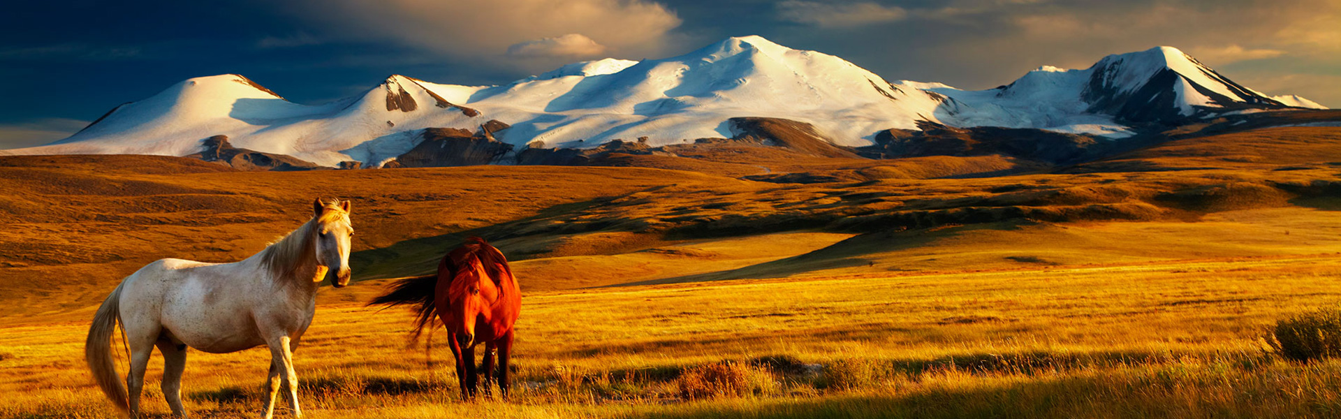 Mongolia