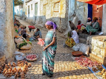 Awash National Park and Harar